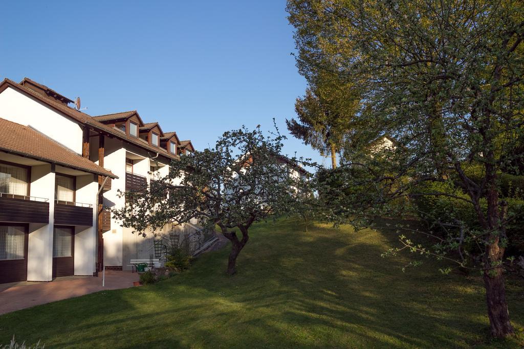 Hotel Am Lingelbach Knüllwald Extérieur photo