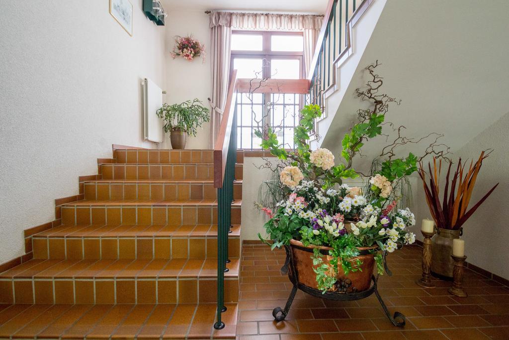 Hotel Am Lingelbach Knüllwald Extérieur photo
