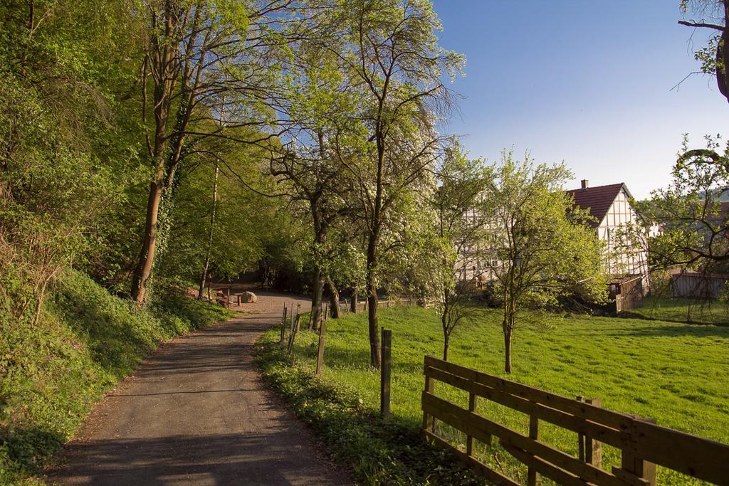 Hotel Am Lingelbach Knüllwald Extérieur photo